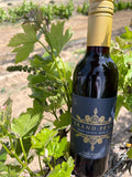 Grand-Péhr 2023 Estate Merlot among the vines